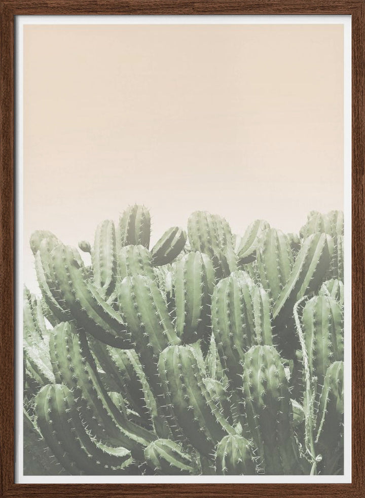 "Boho Cactus No.4" Framed Textured Wall Art