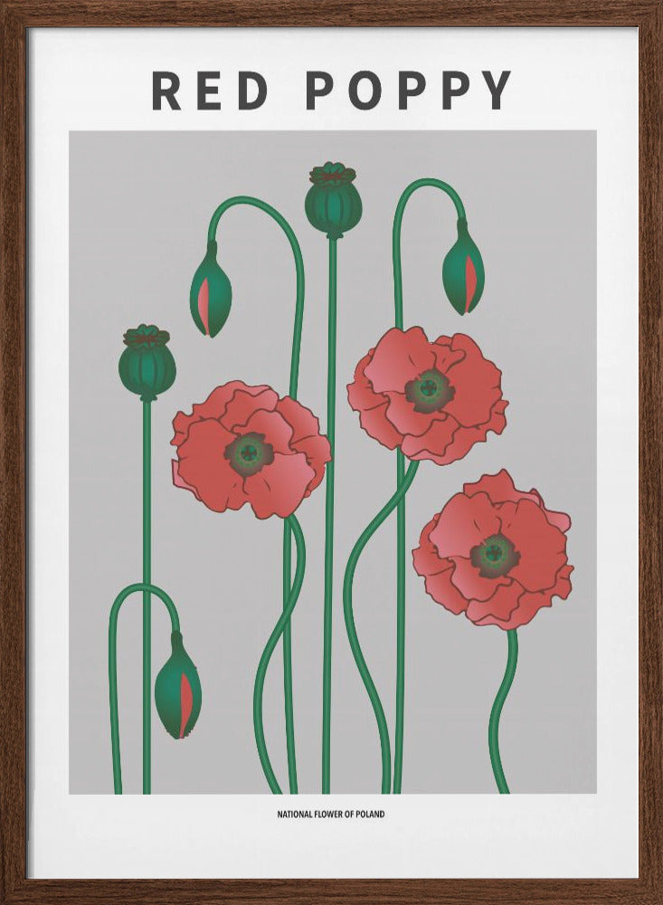 "Red Poppy" Framed Textured Wall Art