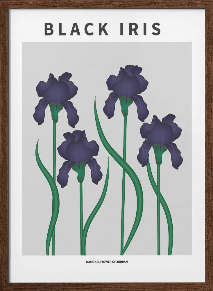 "Black Iris" Framed Textured Wall Art
