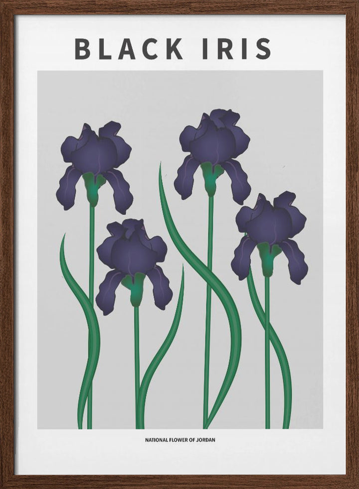 "Black Iris" Framed Textured Wall Art