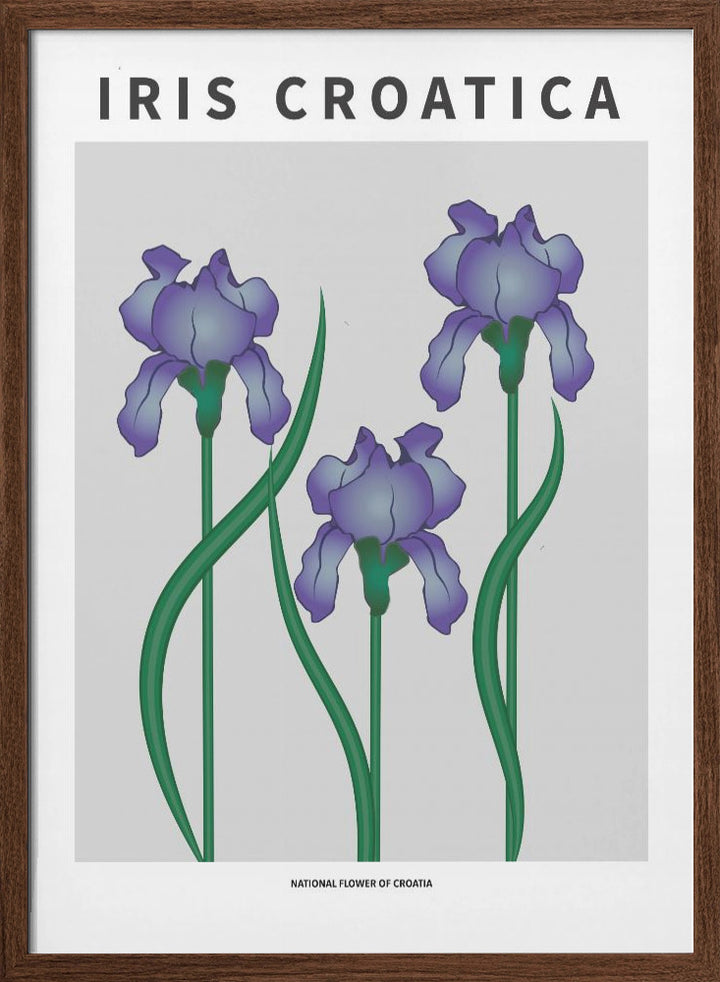 "Iris Croatica" Framed Textured Wall Art