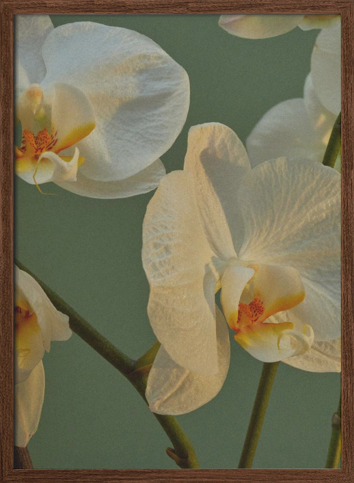 "Floral Haven" Framed Textured Wall Art
