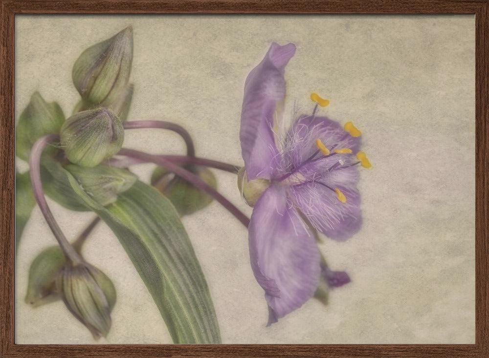 "Purple Flower" Framed Textured Wall Art