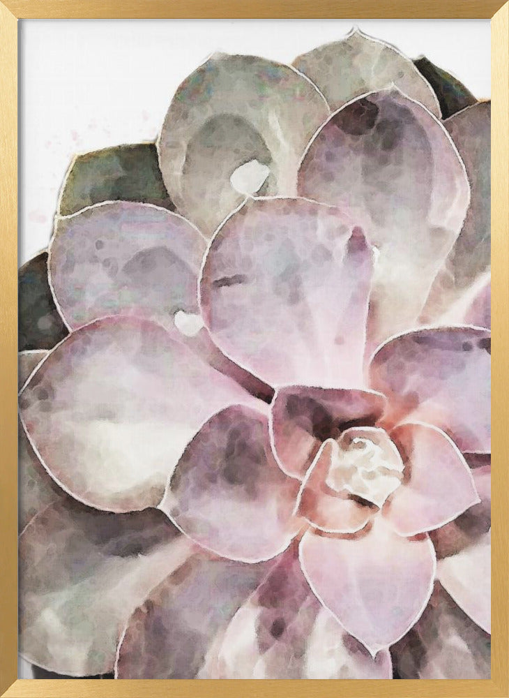"Succulent Close-up" Framed Textured Wall Art