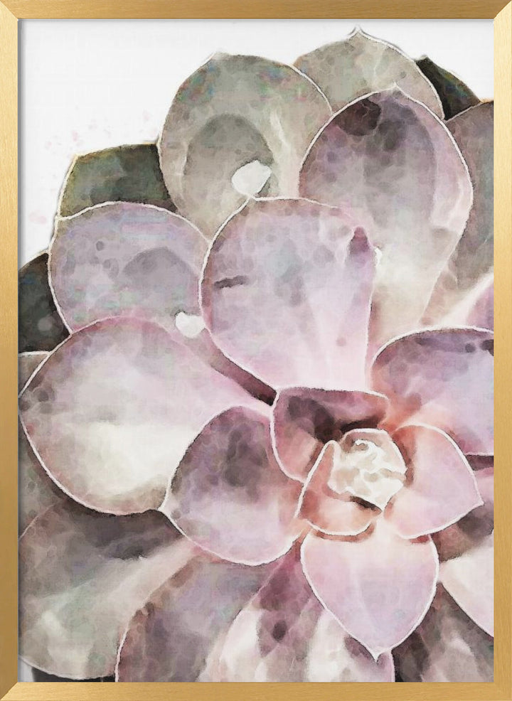 "Succulent Close-up" Framed Textured Wall Art
