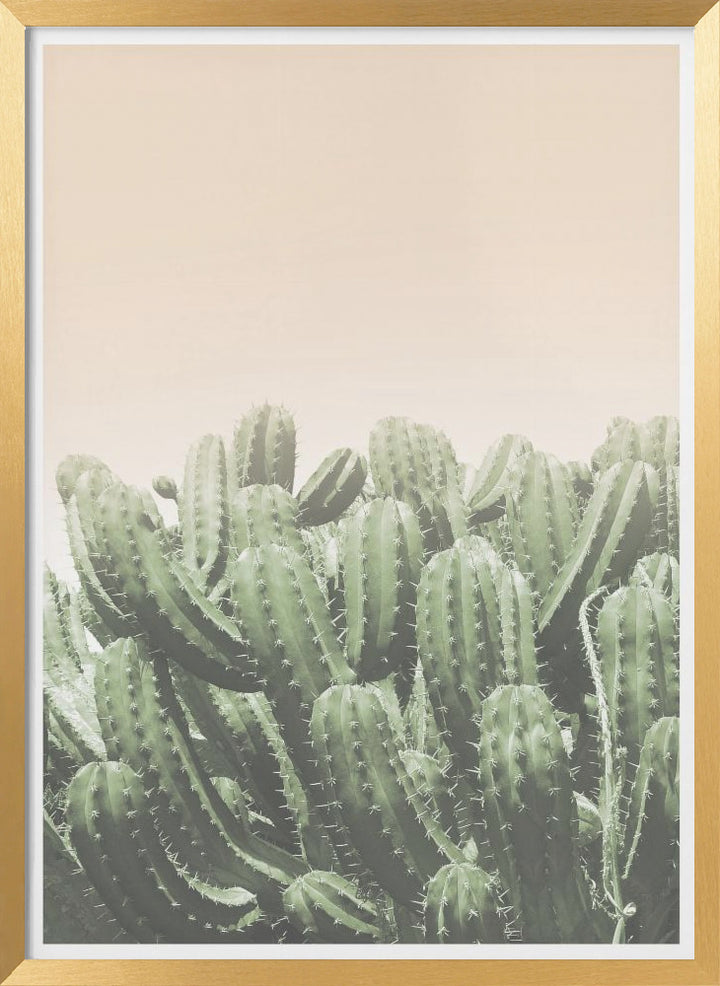 "Boho Cactus No.4" Framed Textured Wall Art