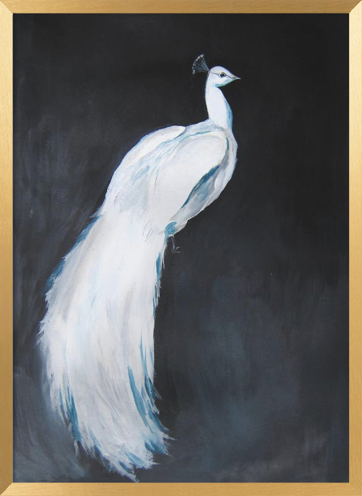 Open box Majestic White Peacock Framed Print Wall Art wall art