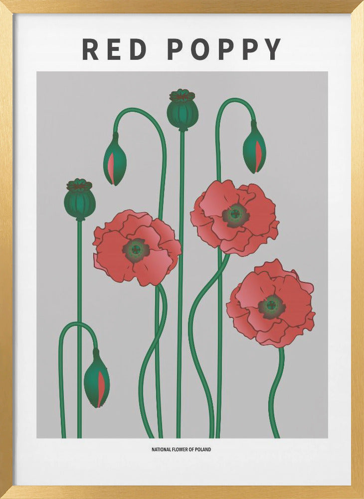 "Red Poppy" Framed Textured Wall Art