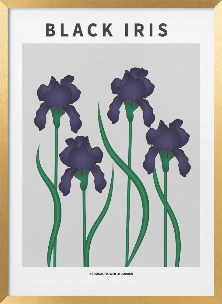 "Black Iris" Framed Textured Wall Art