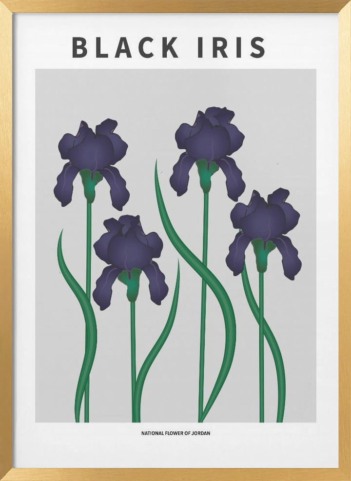 "Black Iris" Framed Textured Wall Art