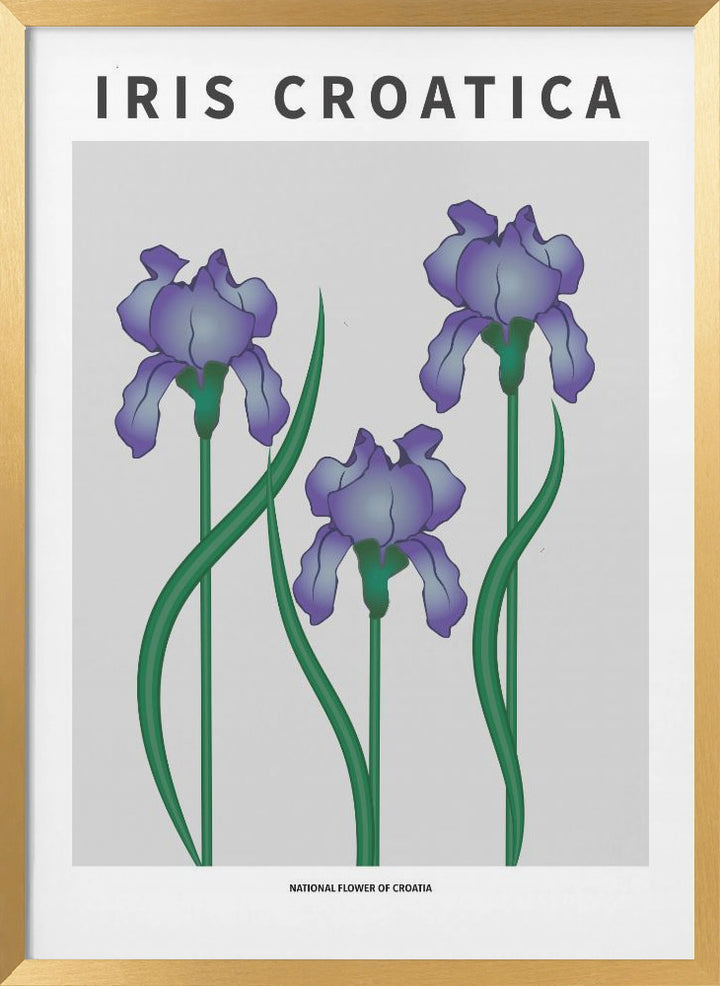 "Iris Croatica" Framed Textured Wall Art