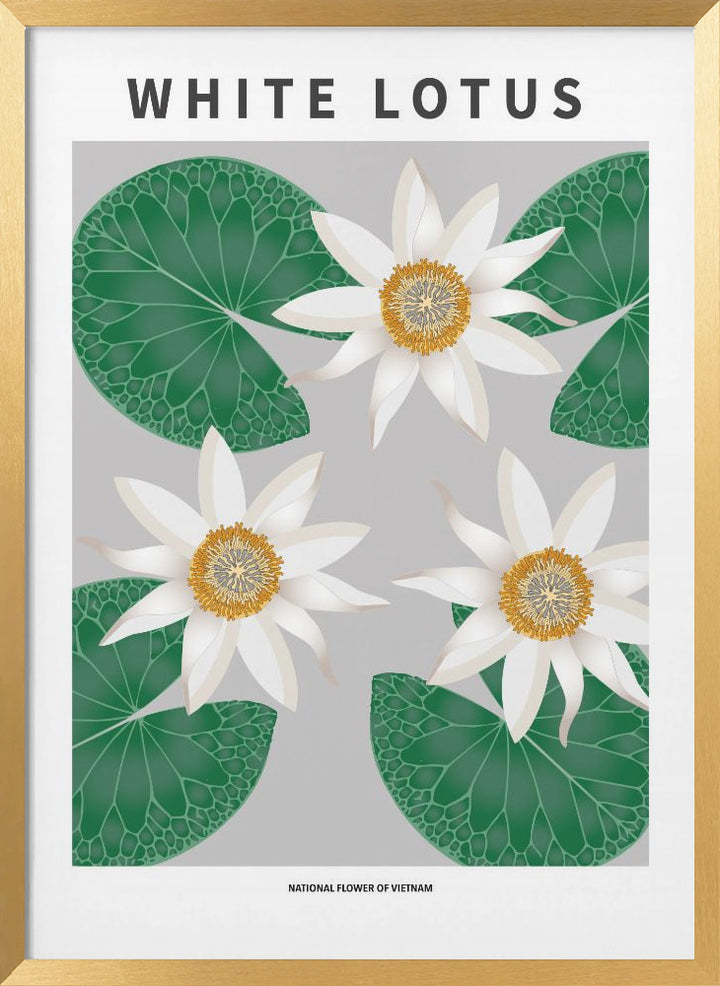 "White Lotus" Framed Textured Wall Art