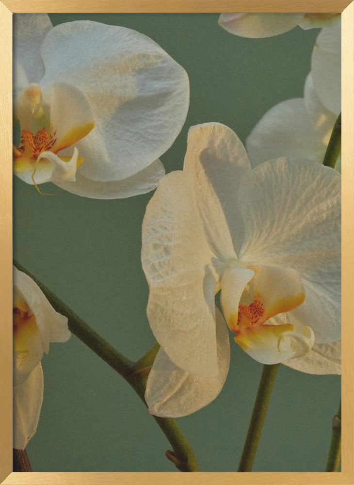 "Floral Haven" Framed Textured Wall Art
