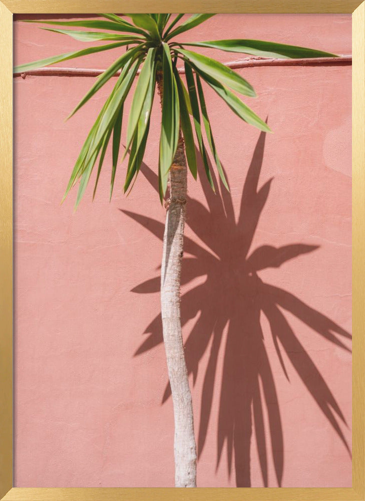 Open box Tamraght Morocco Framed Print Wall Art wall art