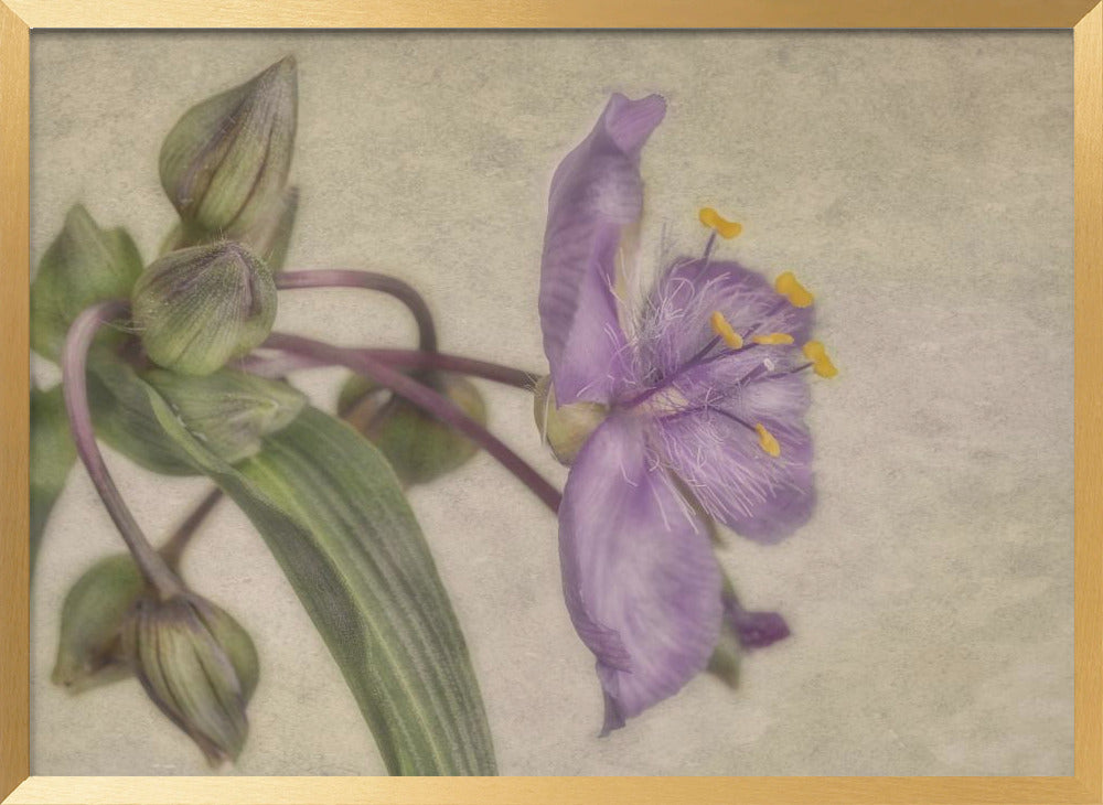 "Purple Flower" Framed Textured Wall Art
