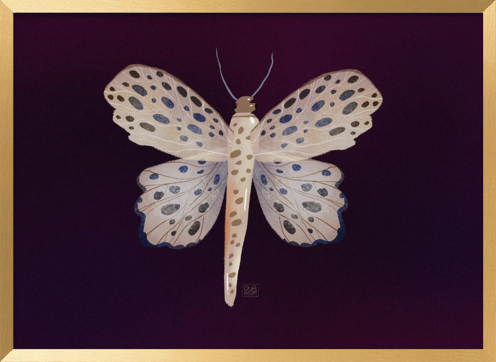 Open box Butterfly Framed Print Wall Art wall art