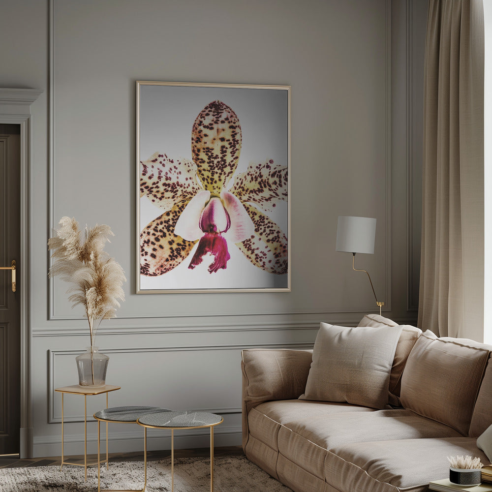 "Coral Orchid" Framed Textured Wall Art