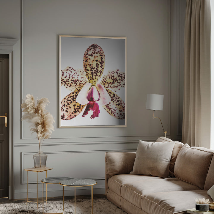 "Coral Orchid" Framed Textured Wall Art