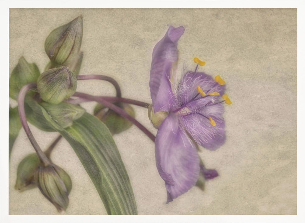 "Purple Flower" Framed Textured Wall Art