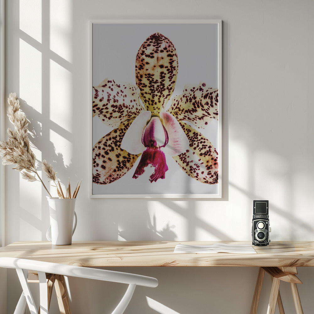 "Coral Orchid" Framed Textured Wall Art
