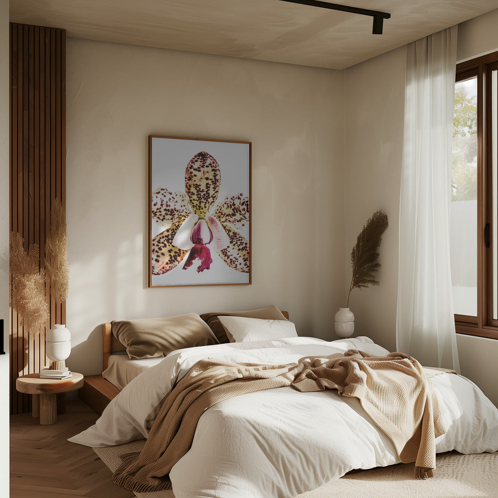 "Coral Orchid" Framed Textured Wall Art