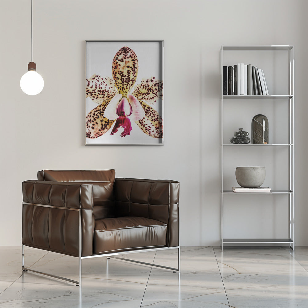 "Coral Orchid" Framed Textured Wall Art