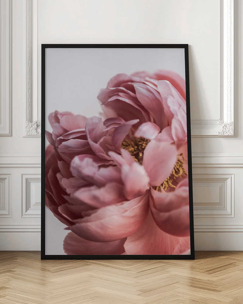 Peony