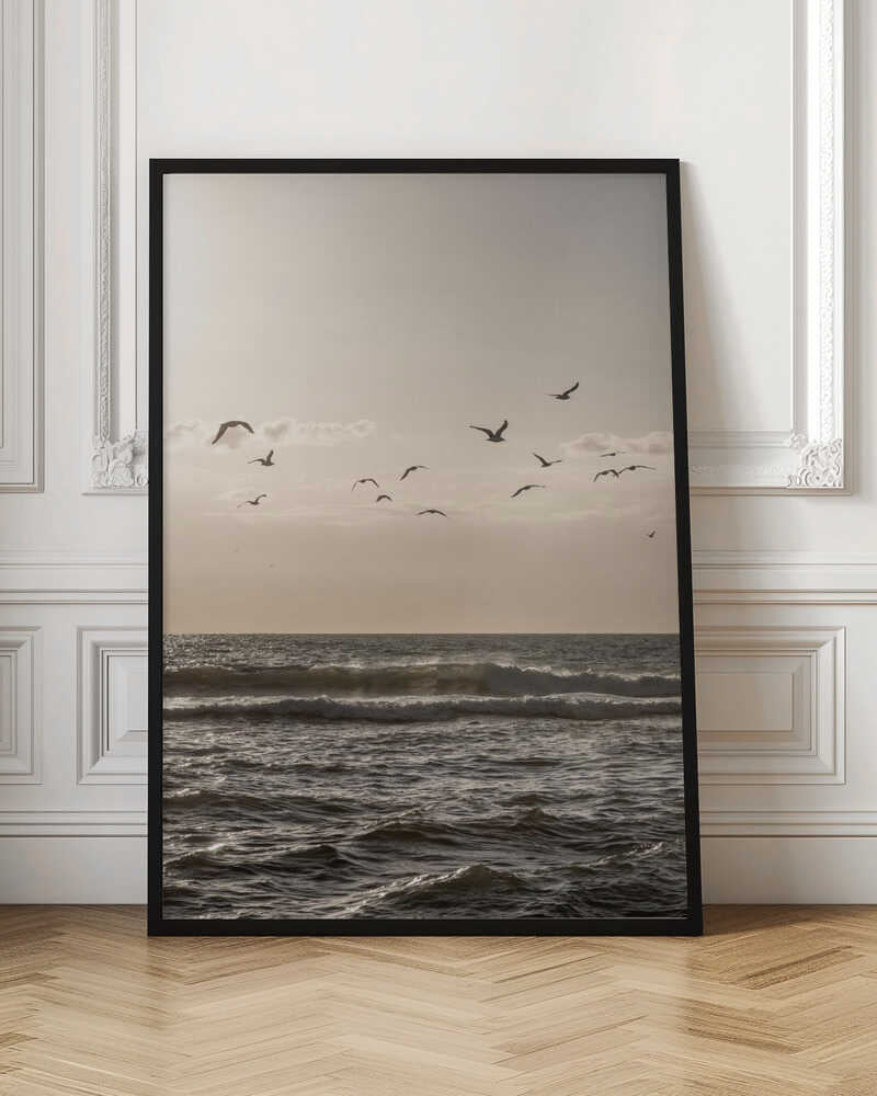 Birds and the Sea 3