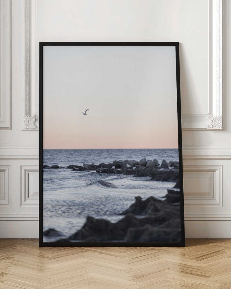 Coast Landscapes 5