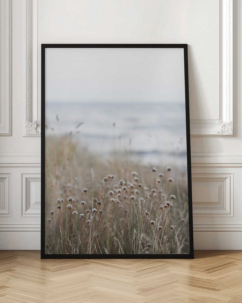 Coast Landscapes 4