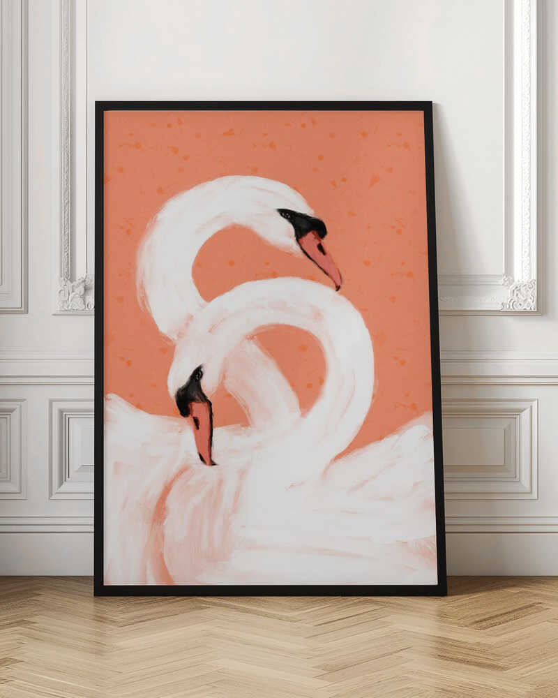 Graceful Swans