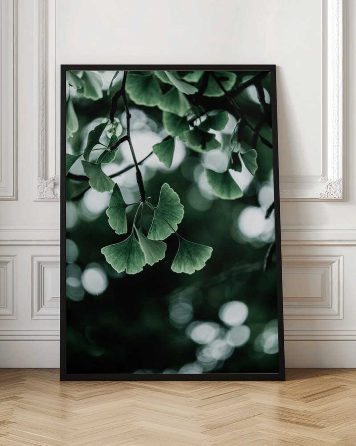 Ginko 1