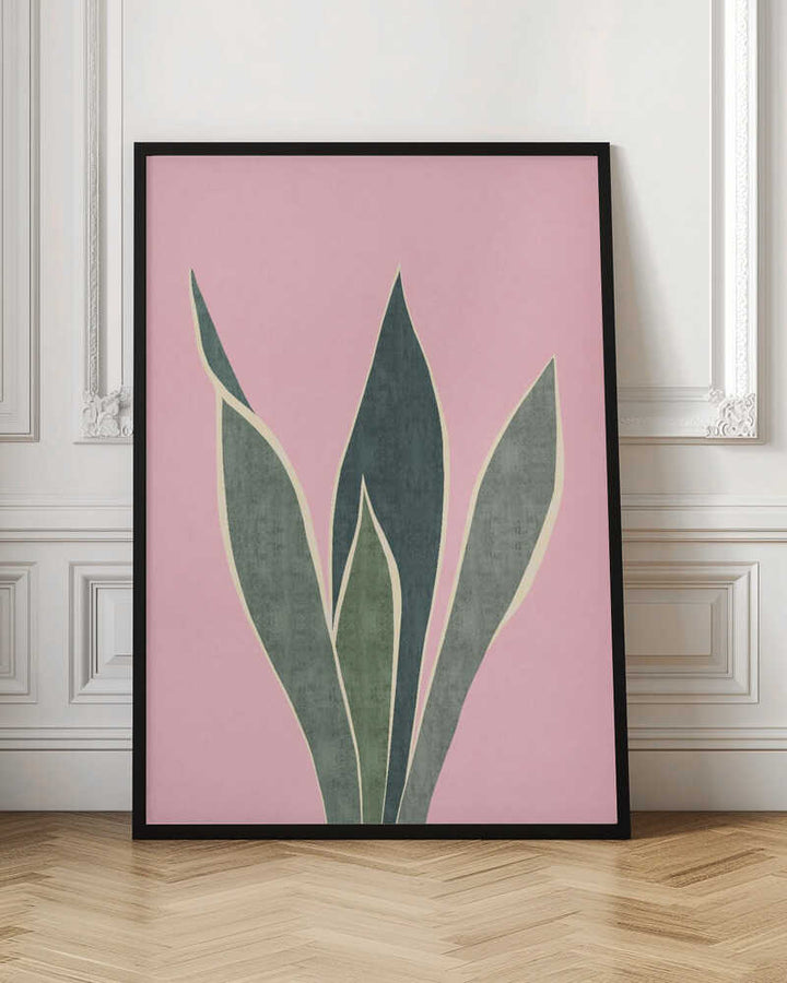 Minimal Pink Foliage