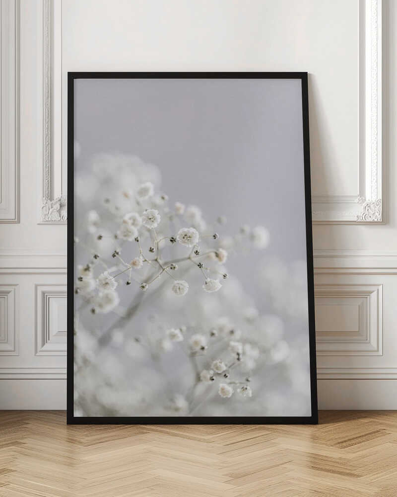 White Breath Flowers