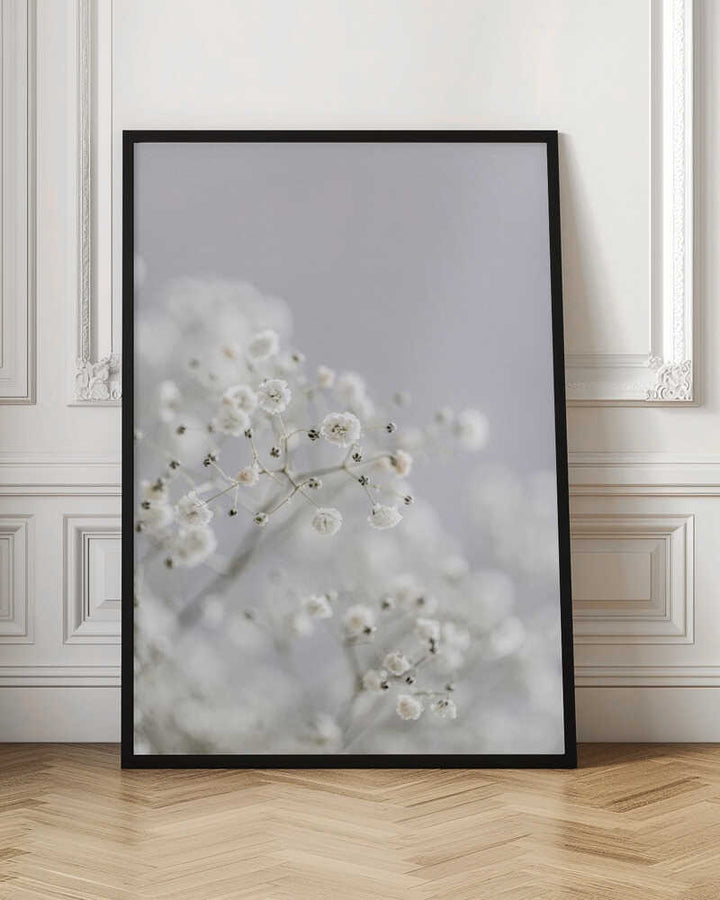 White Breath Flowers