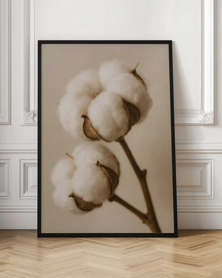 Soft Cotton Dreams