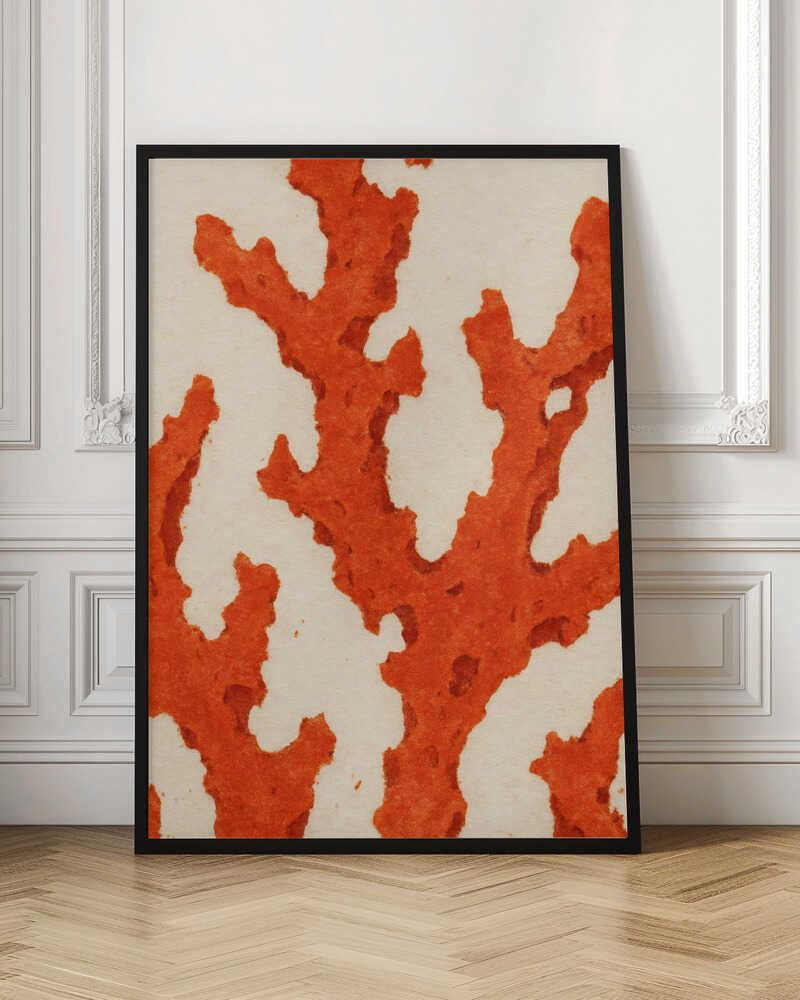 Coral Dreams