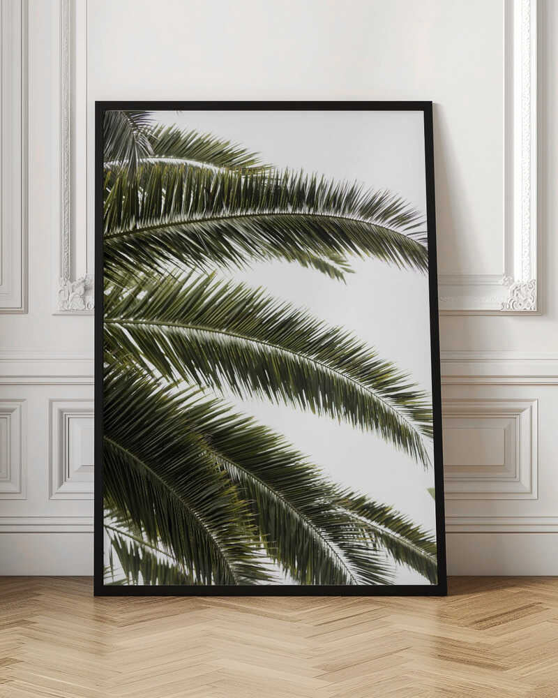Tropical Green Palms
