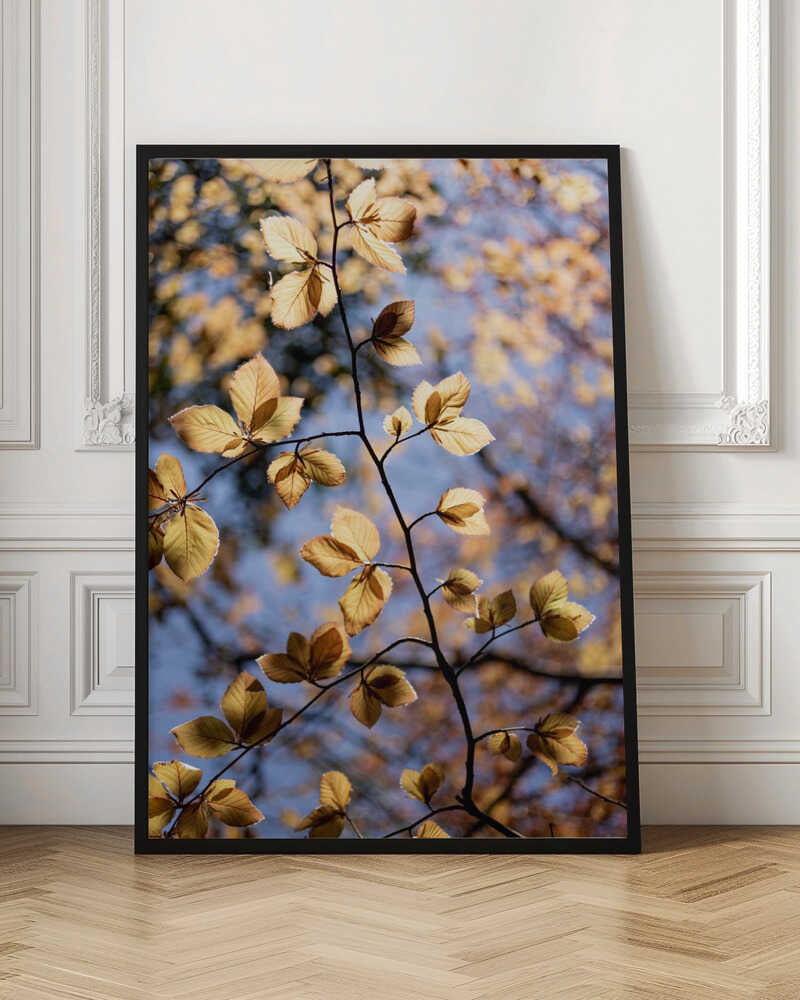 Golden Autumn Leaves