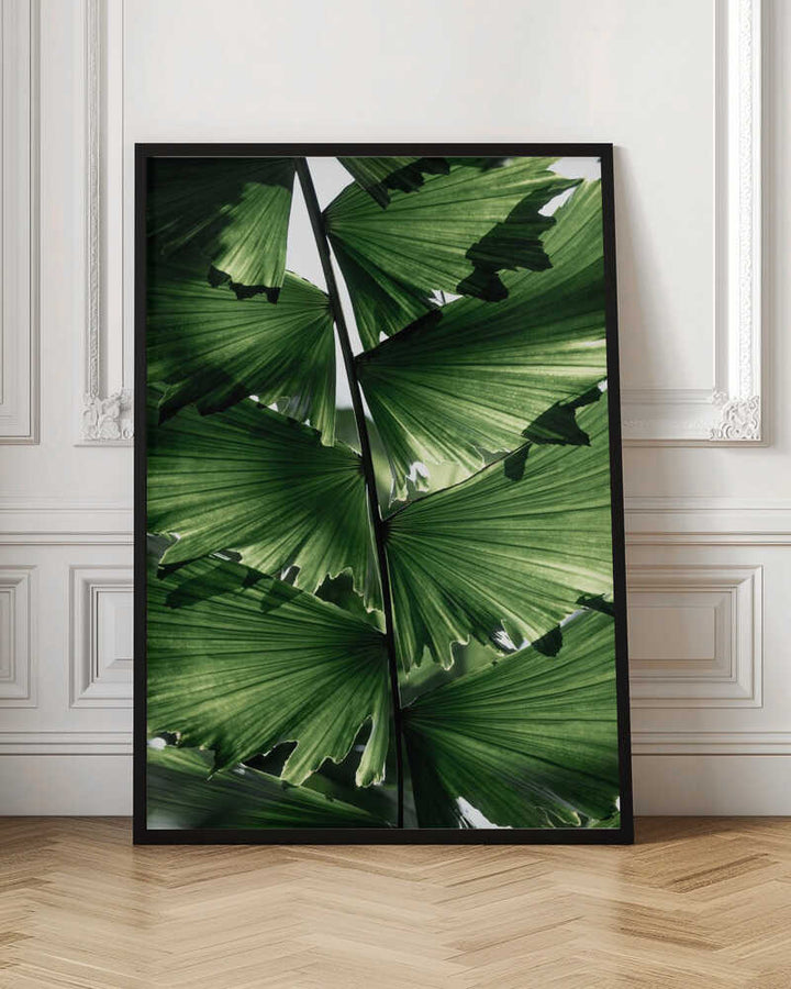 Tropical Green Palm Glow
