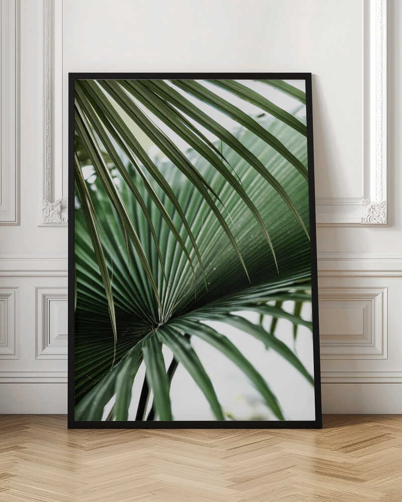 Lush Green Palm Fan