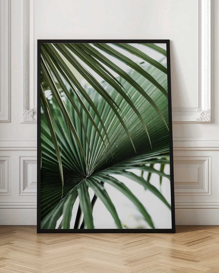 Lush Green Palm Fan