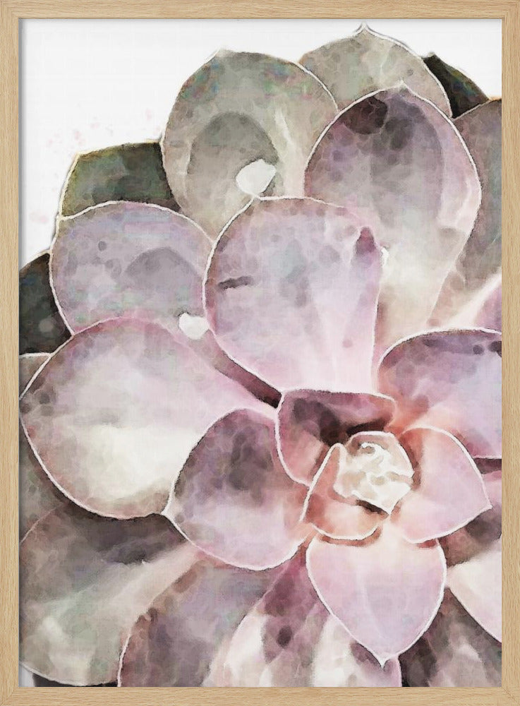 "Succulent Close-up" Framed Textured Wall Art