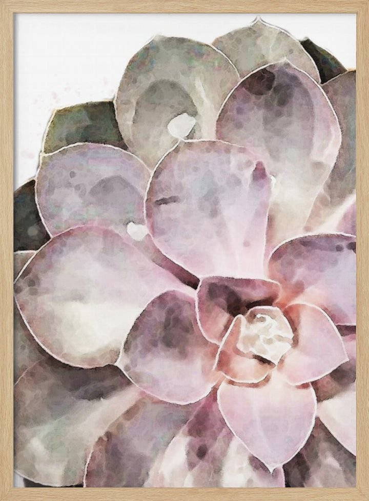 "Succulent Close-up" Framed Textured Wall Art