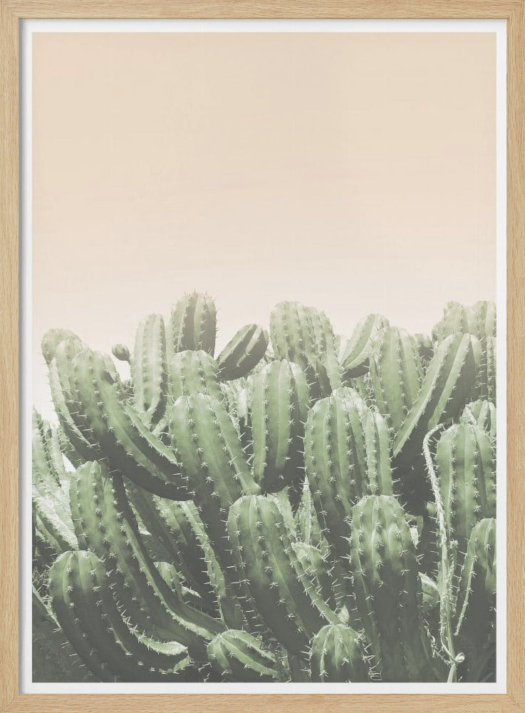 "Boho Cactus No.4" Framed Textured Wall Art