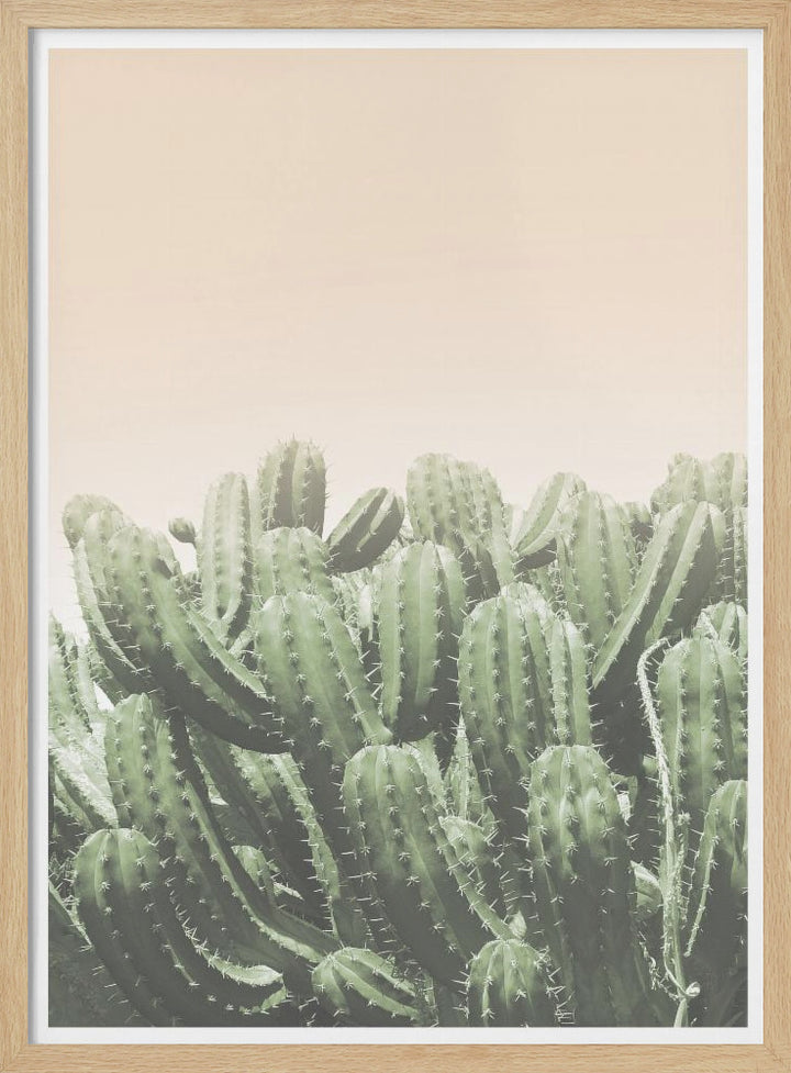 "Boho Cactus No.4" Framed Textured Wall Art