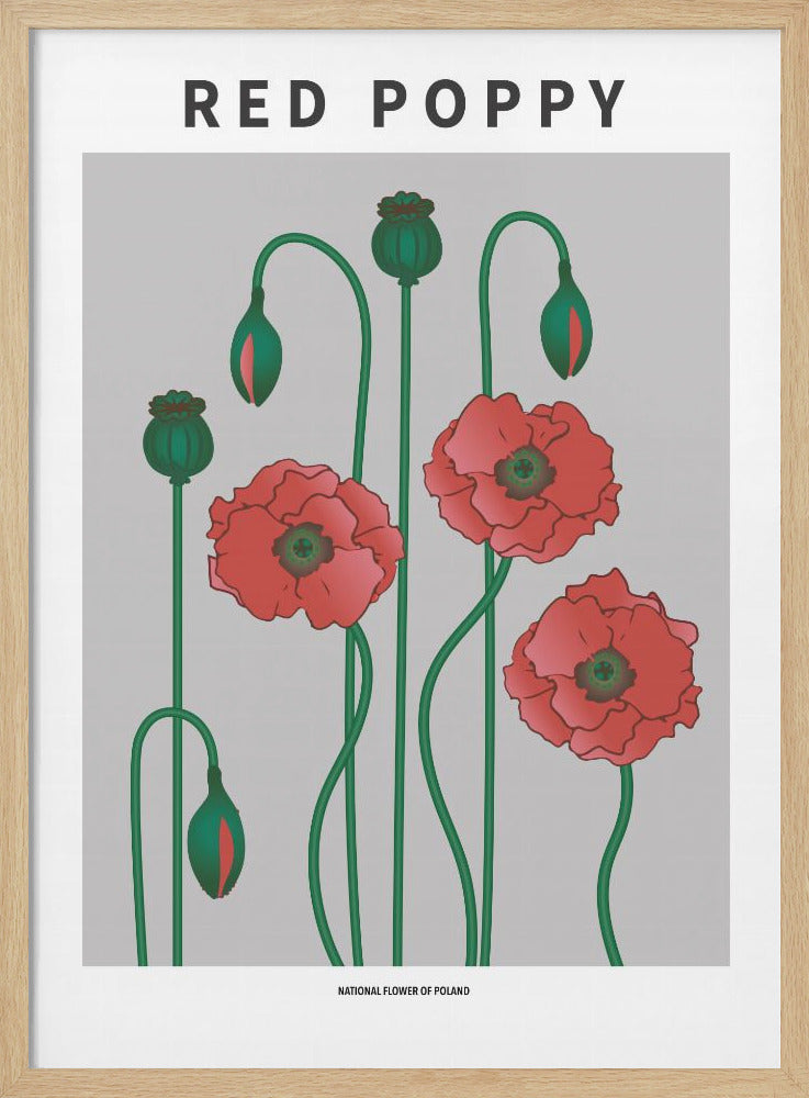 "Red Poppy" Framed Textured Wall Art