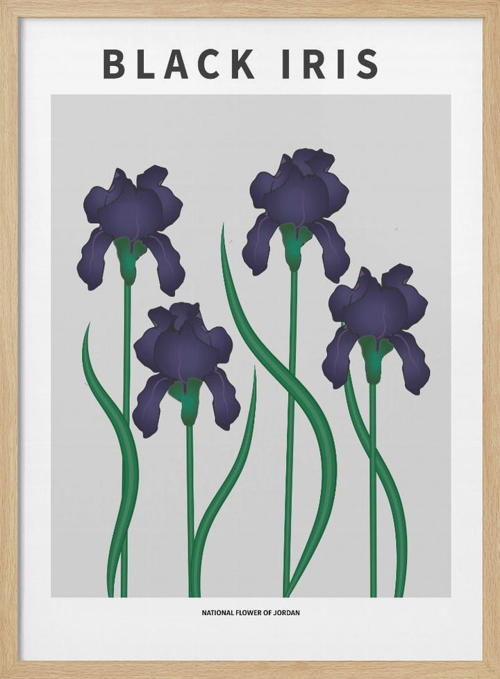 "Black Iris" Framed Textured Wall Art