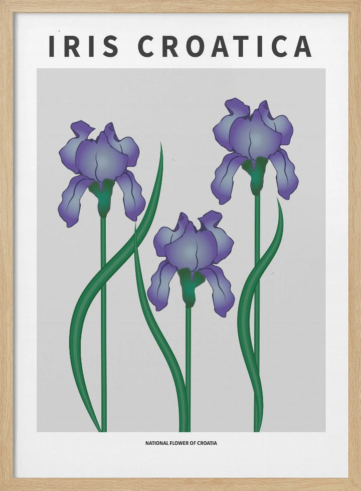 "Iris Croatica" Framed Textured Wall Art