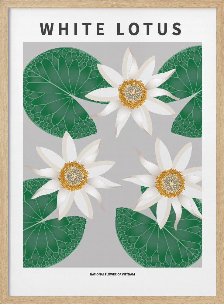 "White Lotus" Framed Textured Wall Art